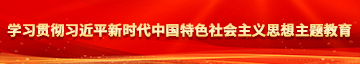 操逼视频。。。学习贯彻习近平新时代中国特色社会主义思想主题教育